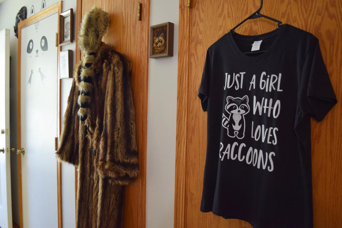 Raccoons