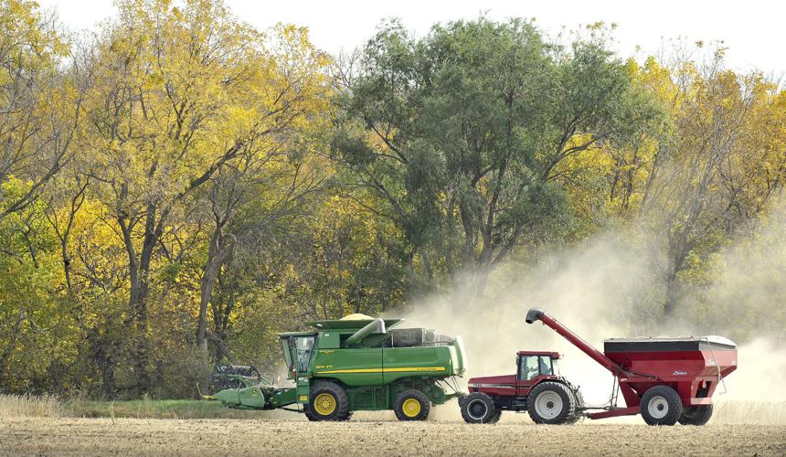 Harvest time