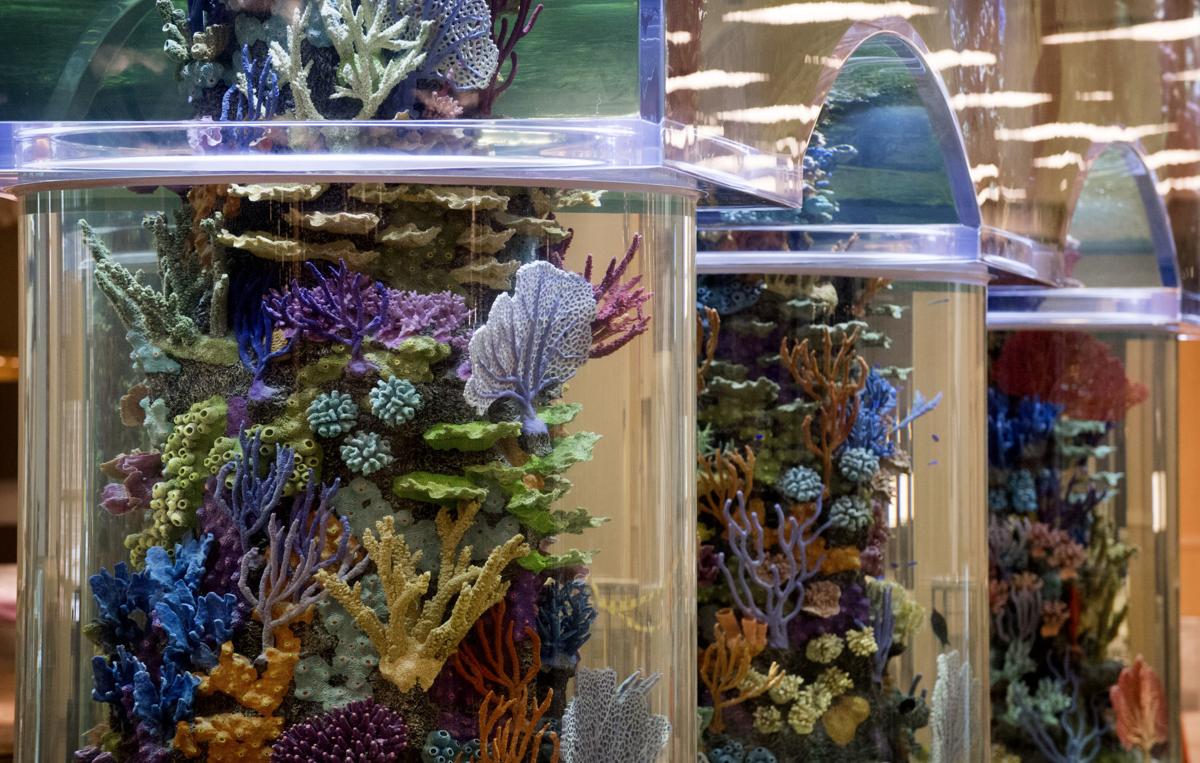fish tank