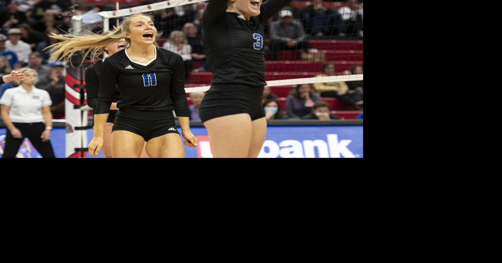 State volleyball: The Journal Star's all-tournament teams