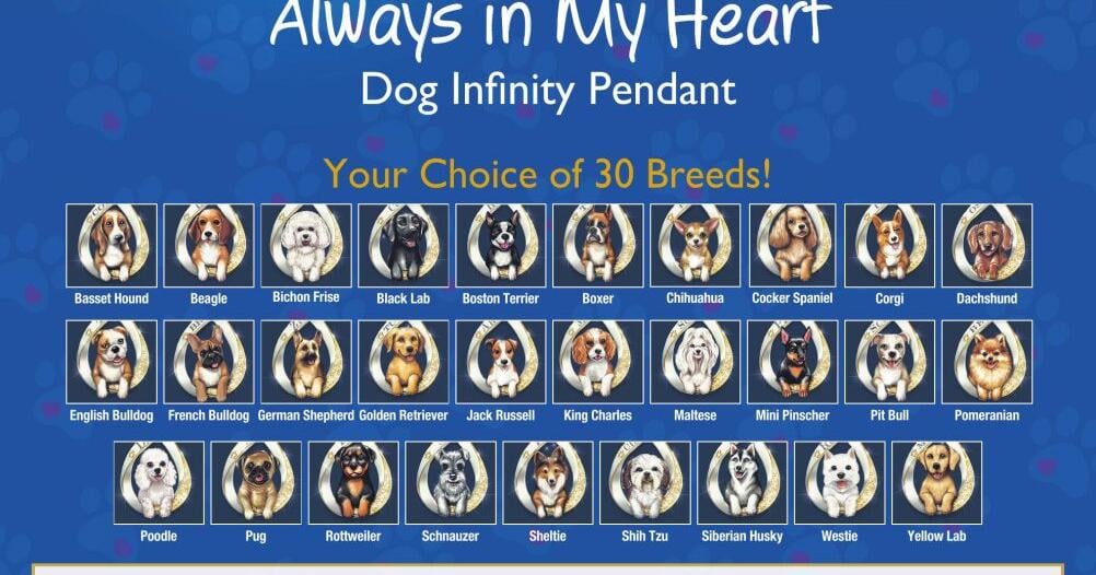 BRADFORD EXCHANGE - MIDWEST LISTS AND MEDIA - Ad from 2026-03-22