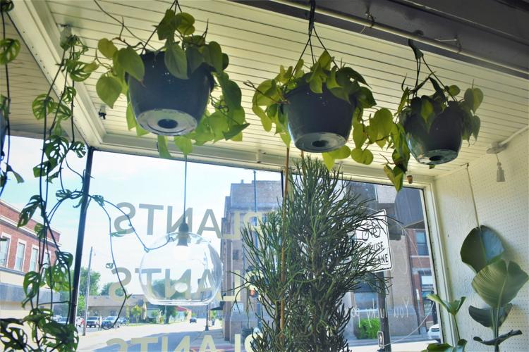 A place to get plants in Uptown