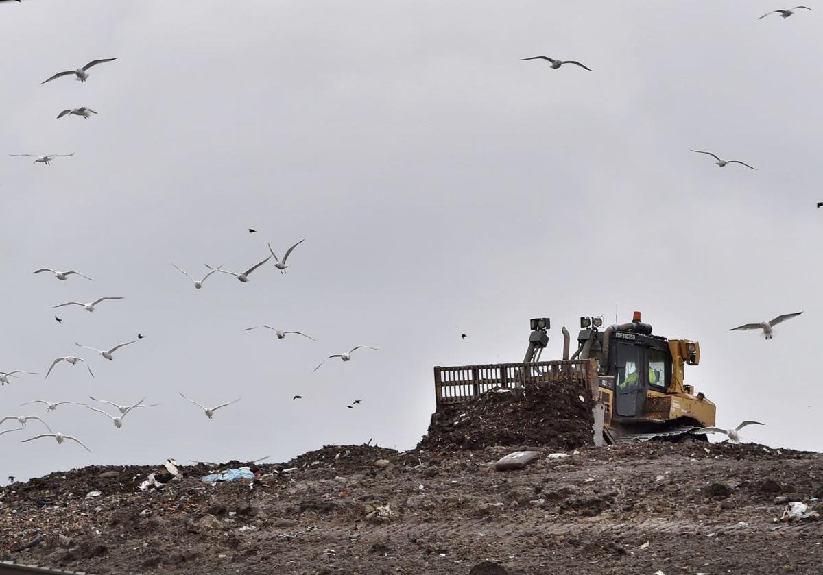 Kestrel Hawk landfill