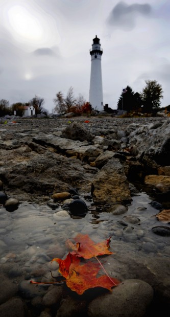 The Rocky Coast