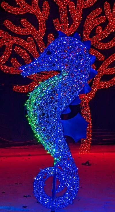 Milwaukee Zoo Lights seahorse.jpg