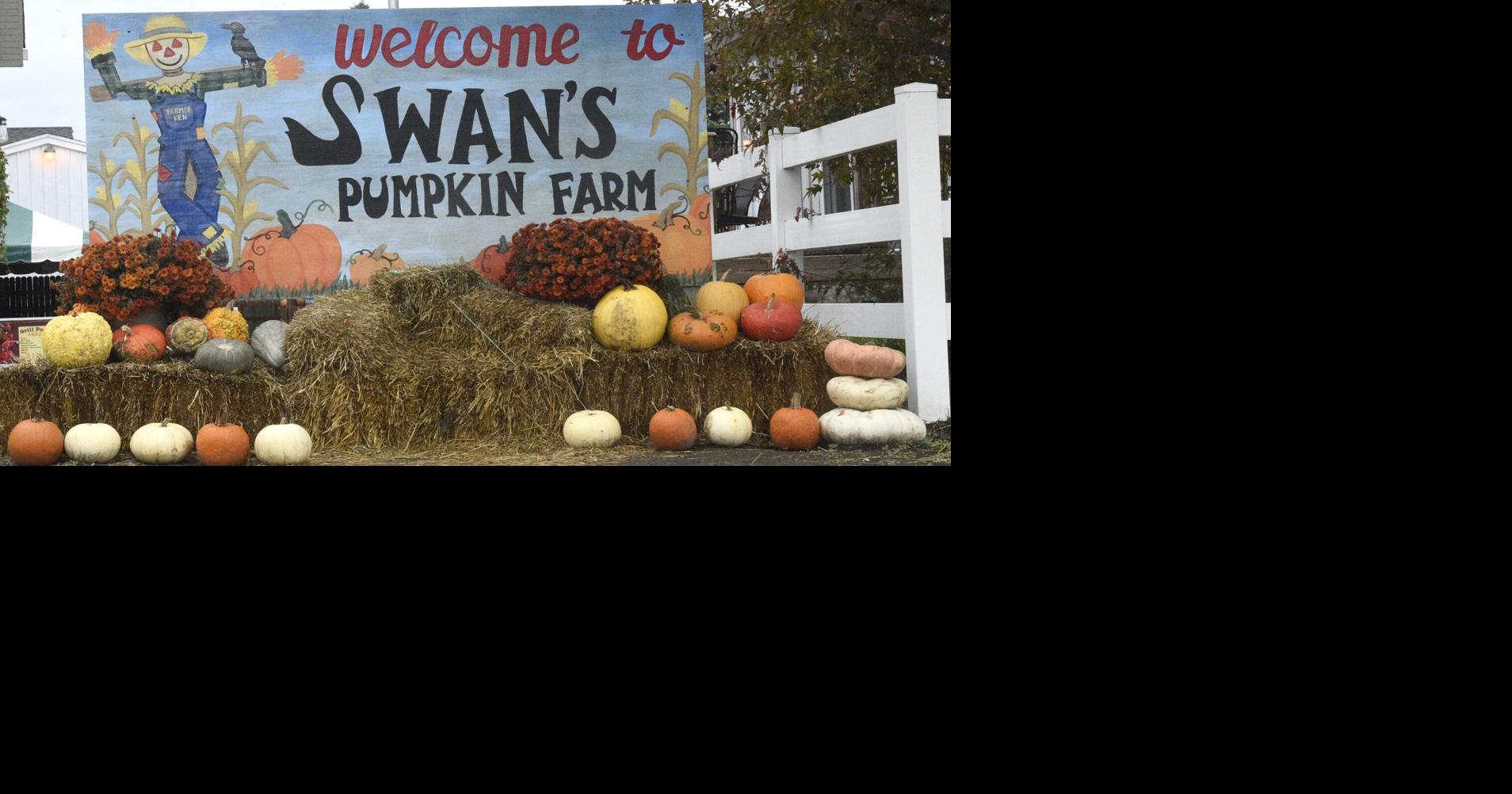 Racine County pumpkin farms prepare for busy weekend