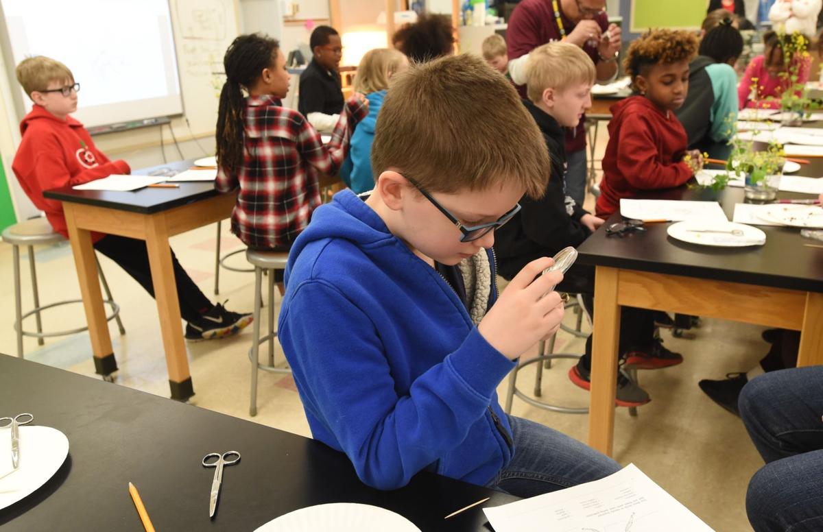 Hands on science