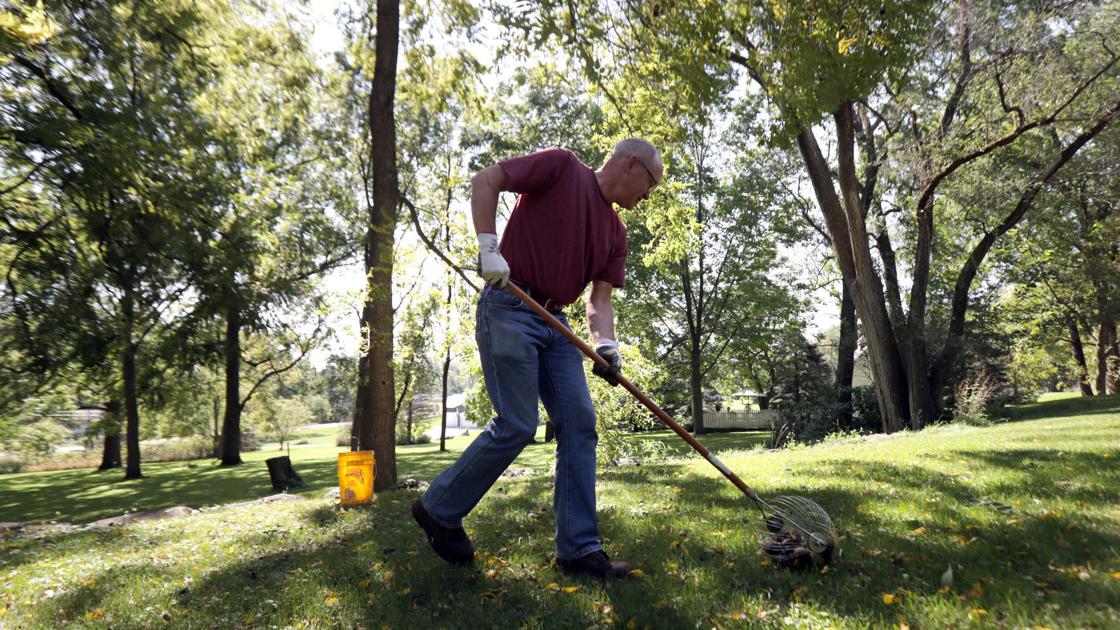Walnuts lead to man's growing nomadic business