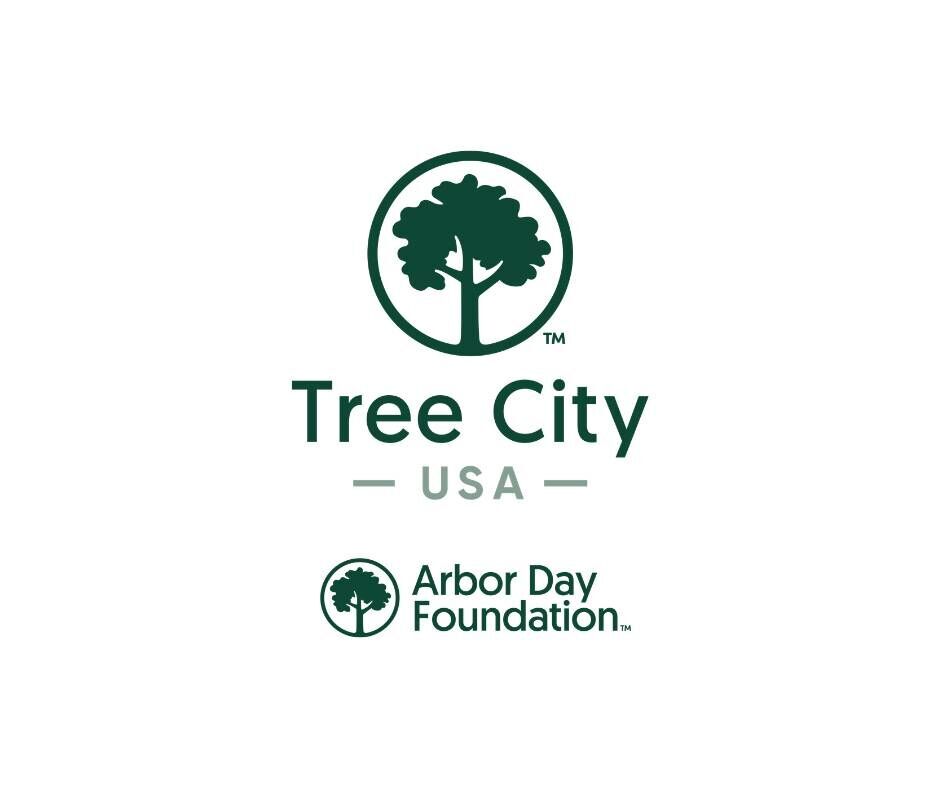 City of Kenosha Receives 2025 Tree City USA Recognition