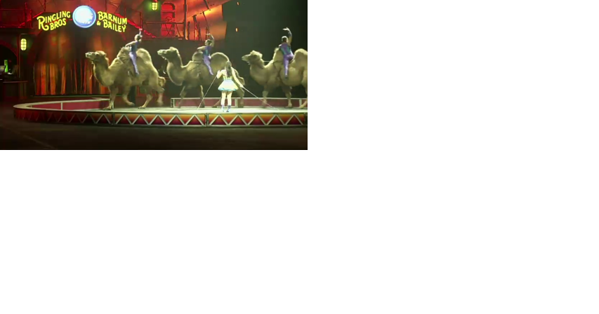 Traveling circus steering its way back to Waterford - Vimarsana News
