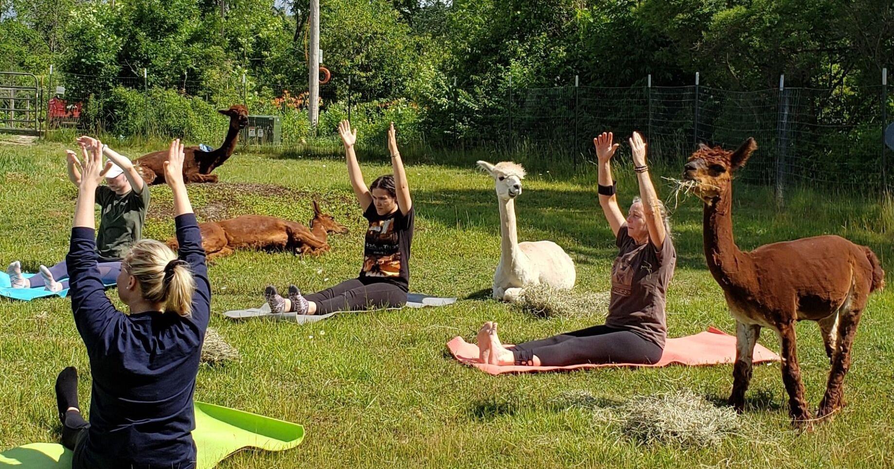 WORKSHOPS, PROGRAMS, LECTURES - Vimarsana News