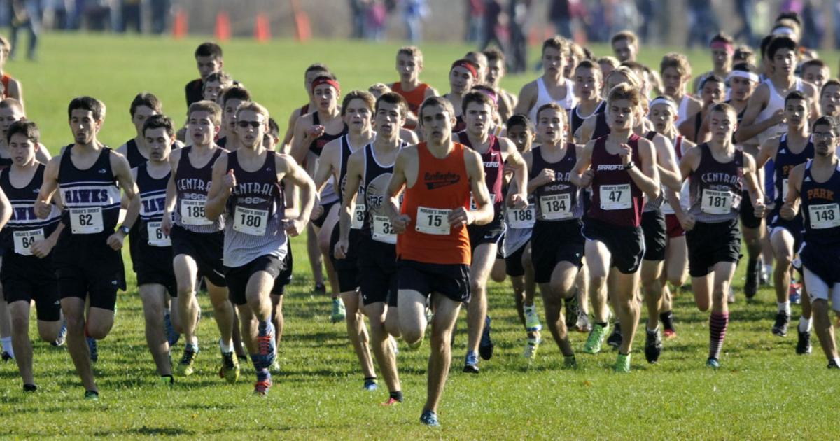 Photo Gallery Johnson wins WIAA sectional cross country race