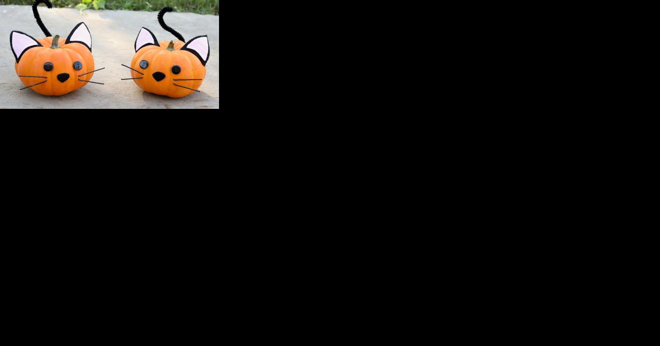 Kenosha museums and libraries hosting spooky fun - Vimarsana News