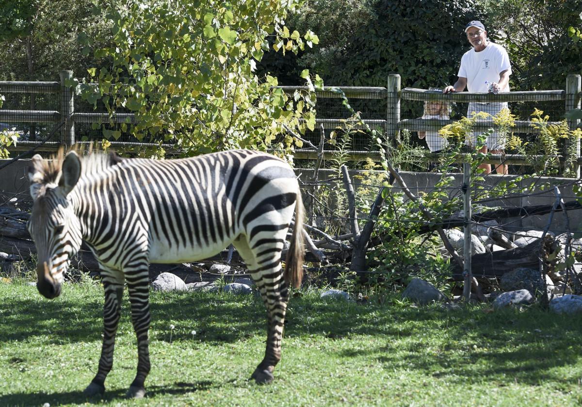 Racine Zoo enjoying record year Local News
