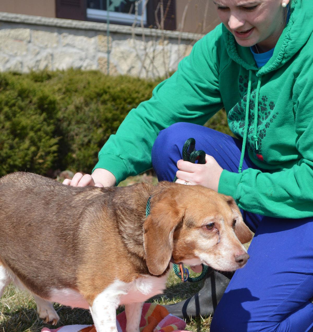 18 Dogs Surrendered In Racine Hoarding Case Crime And Courts Journaltimes Com