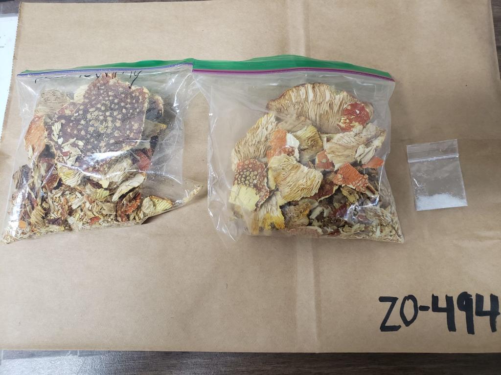 More than 60 grams of mushrooms, crystal meth found during traffic stop | Crime and Courts | journaltimes.com More than 60 grams of mushrooms, crystal meth found during traffic stop | Crime and Courts | journaltimes.com