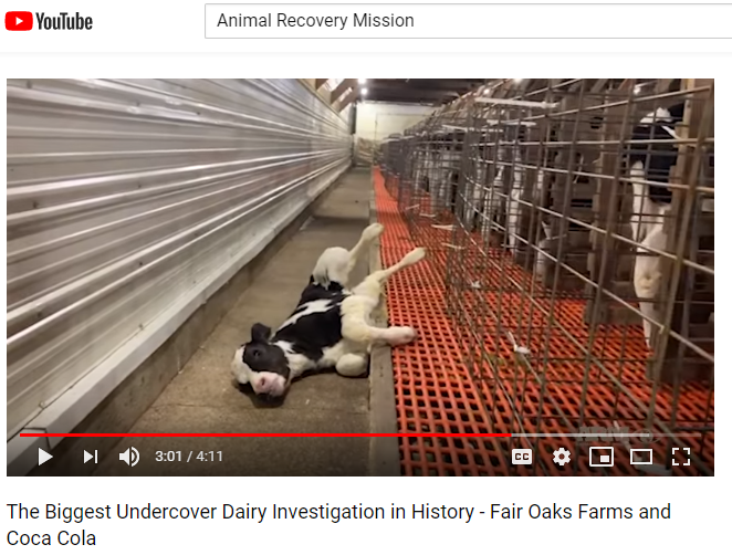 The Biggest Undercover Dairy Investigation in History Fair Oaks Farms and Coca Cola YouTube.png