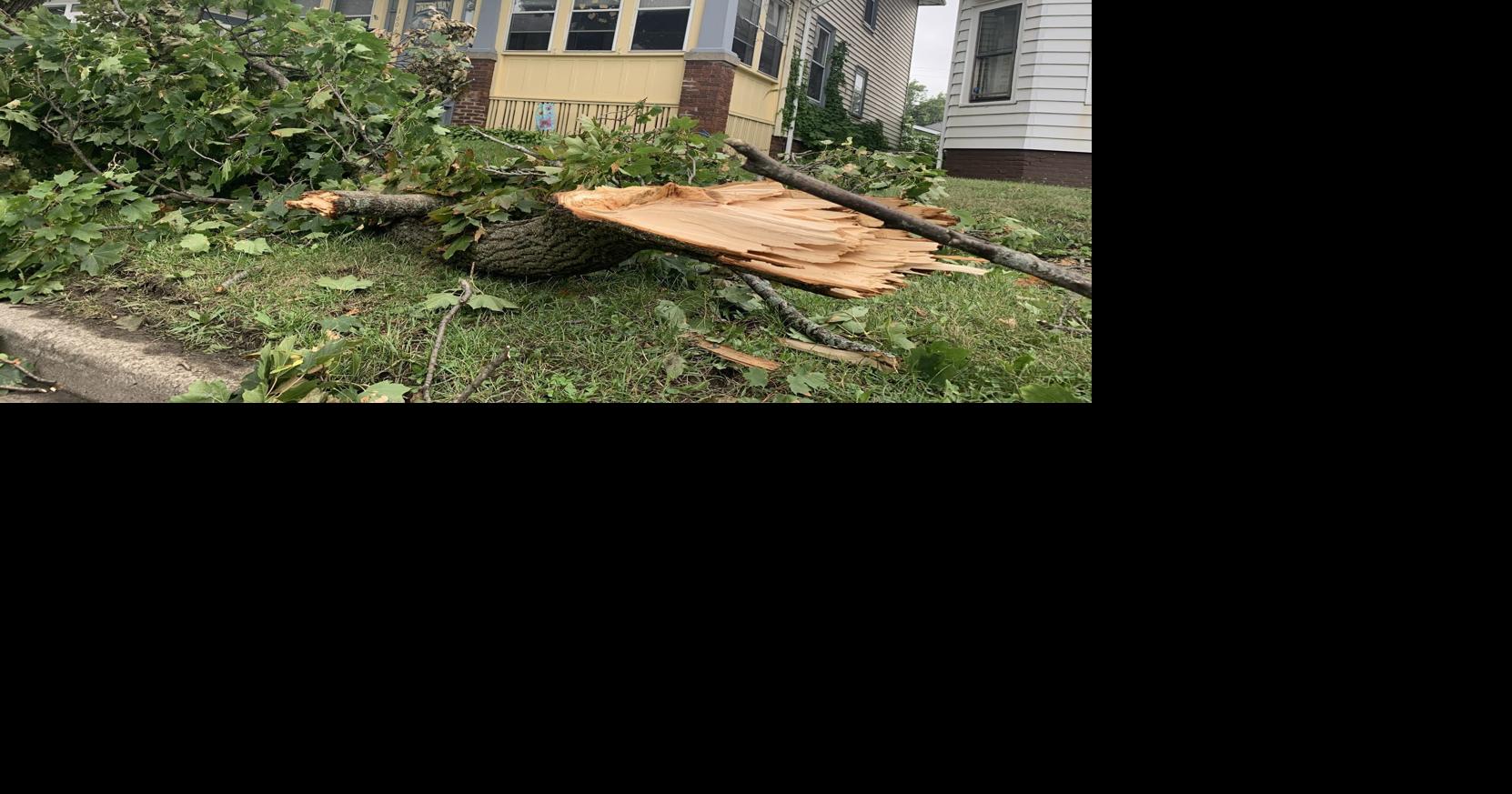 Storm damage 'A multiday event' is likely 1,865 without power in