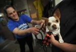 SAFE HARBOR HUMANE SOCIETY