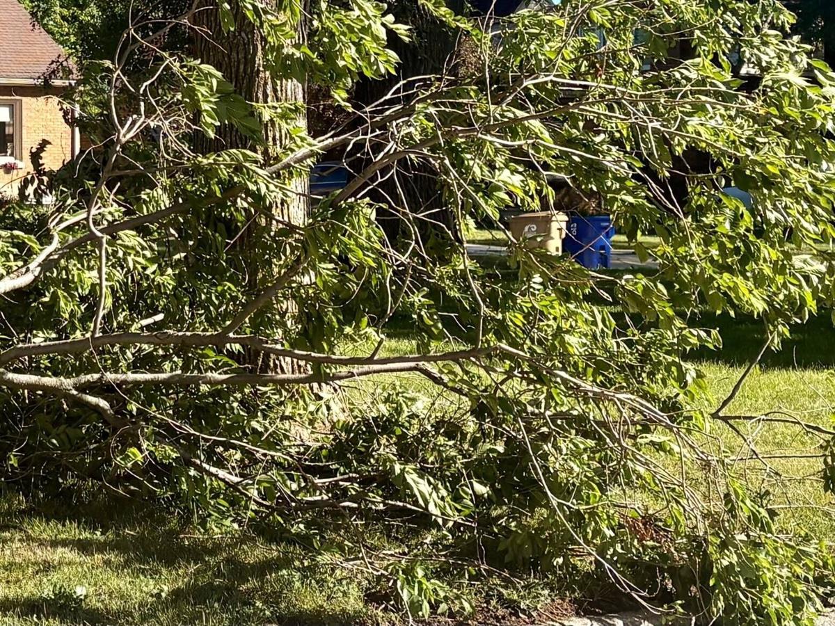 Hundreds of Storm Debris Pickup Requests Received Across Kenosha