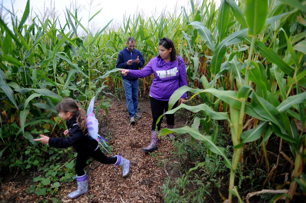 Lost Bearings Corn Maze at Bear Paw Beach opens; park offers other fall