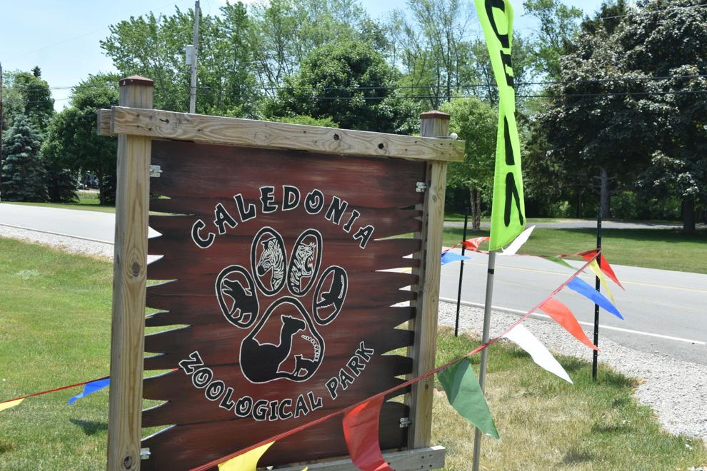 Watch now Volunteers band together to open Caledonia Zoo, replacing Jo