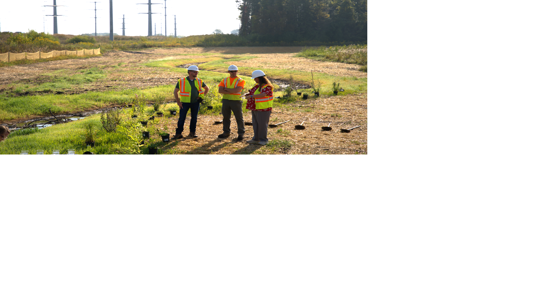 Lamparek Creek restoration breaks ground in Mount Pleasant
