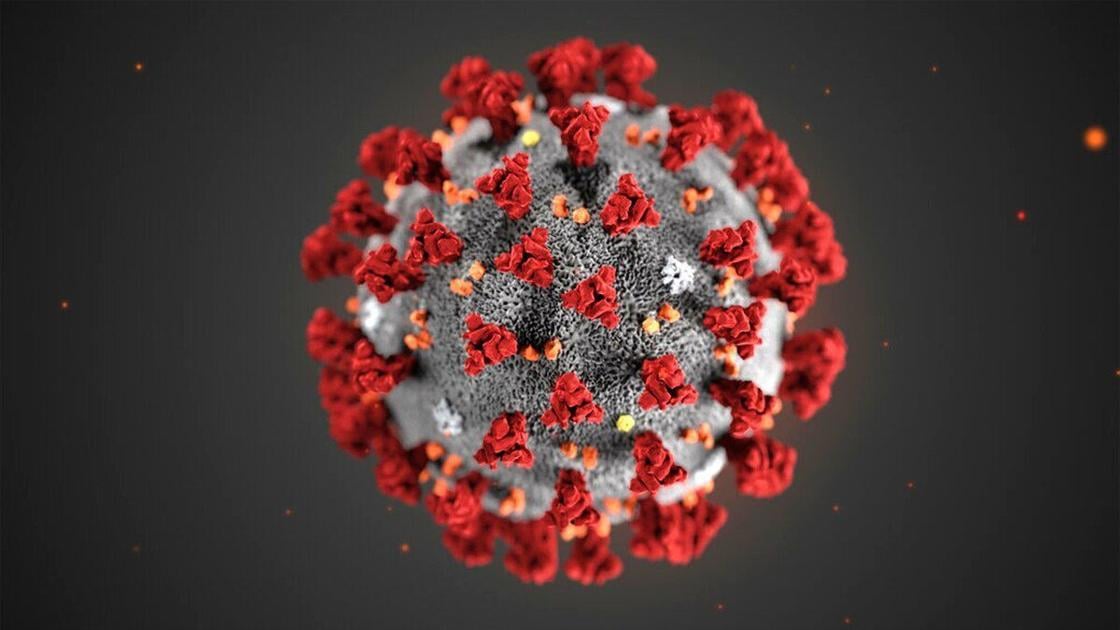 More contagious, but not more deadly, coronavirus strain first identified in U.K. has arrived in Wisconsin - Journal Times