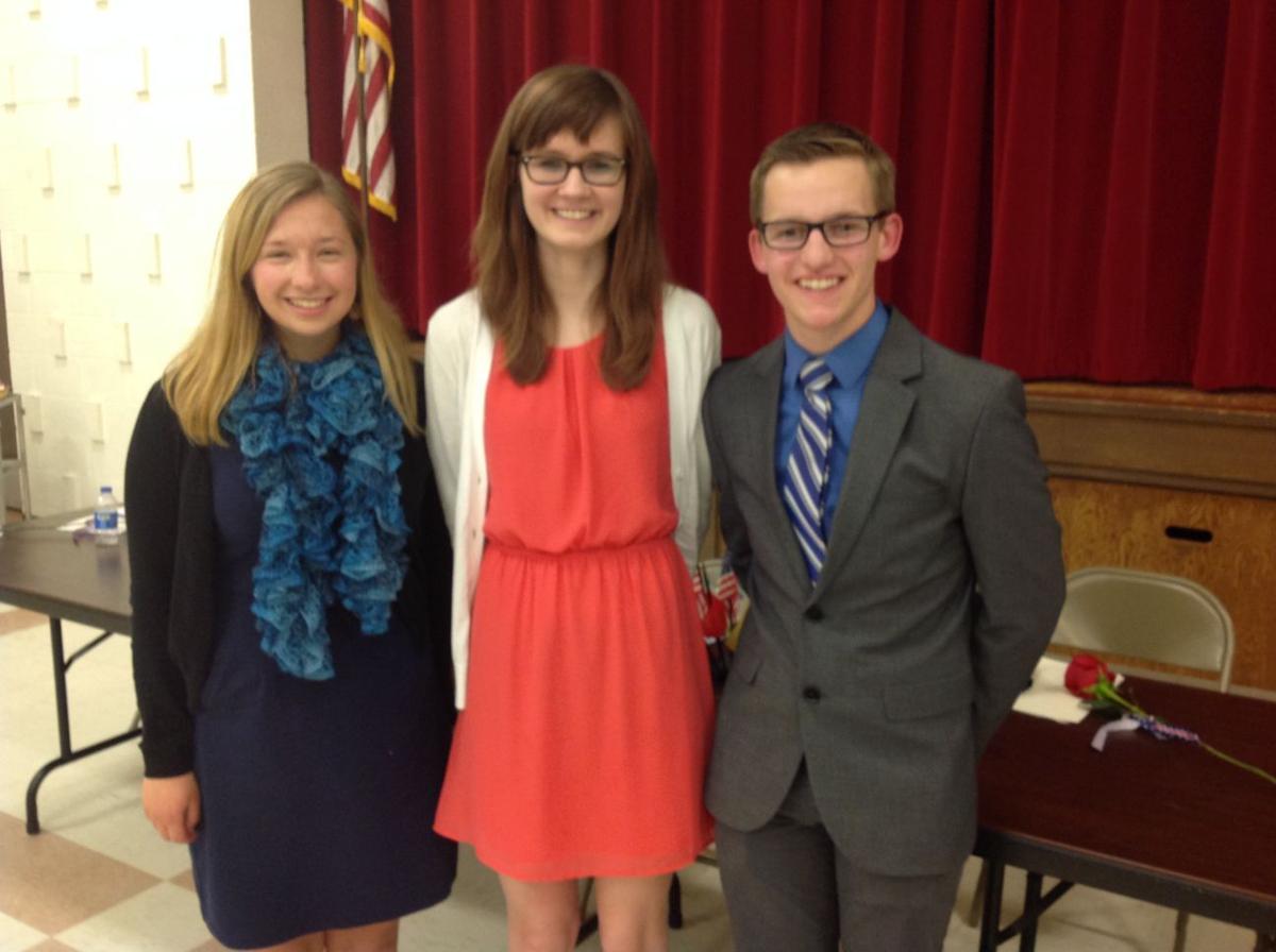 Daughters of the american revolution ancestry picture