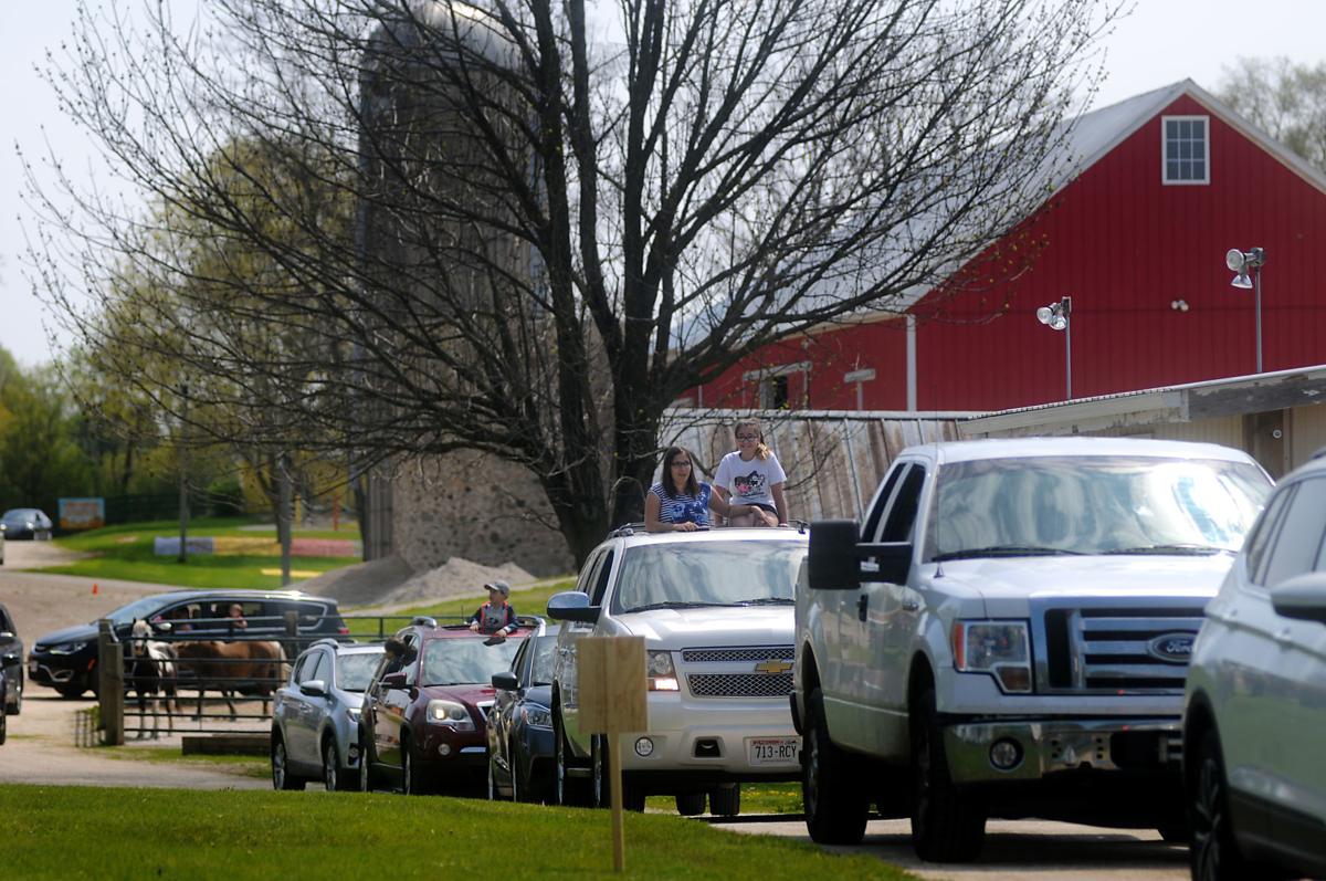 Out on the Town Green Meadows Farm driveThru experience Local News