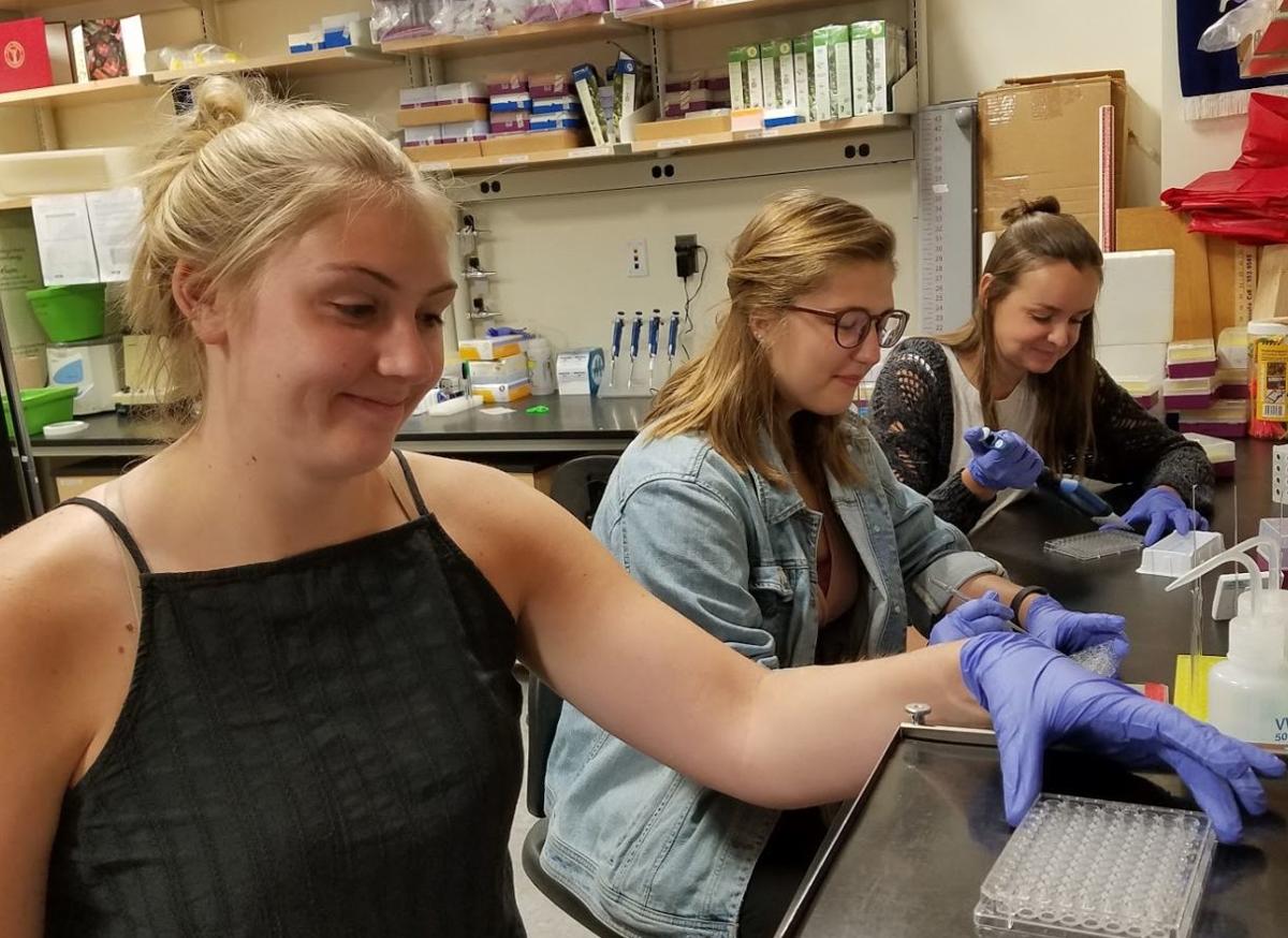 Skendziel in the lab
