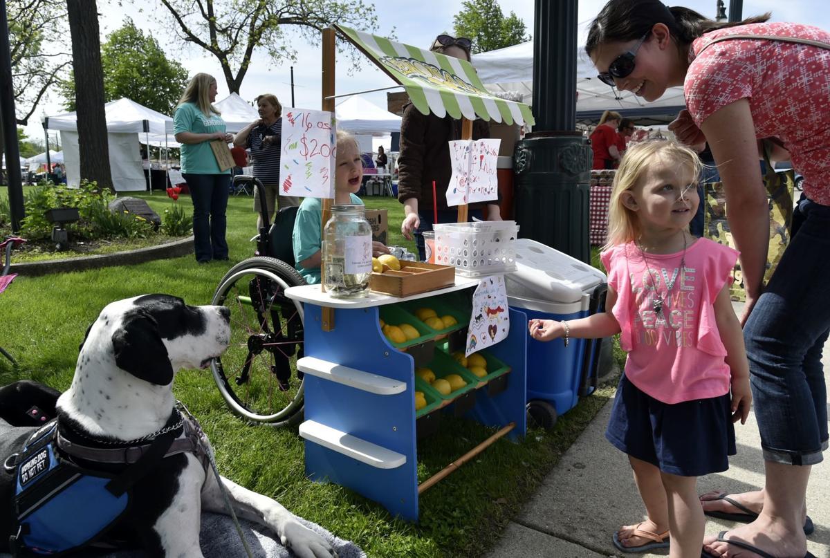 Lemonade stand for service dogs
