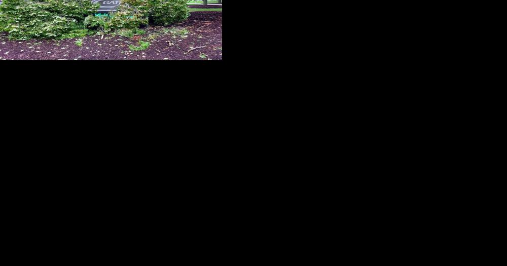 Severe thunderstorm leaves damage in Racine - Vimarsana News