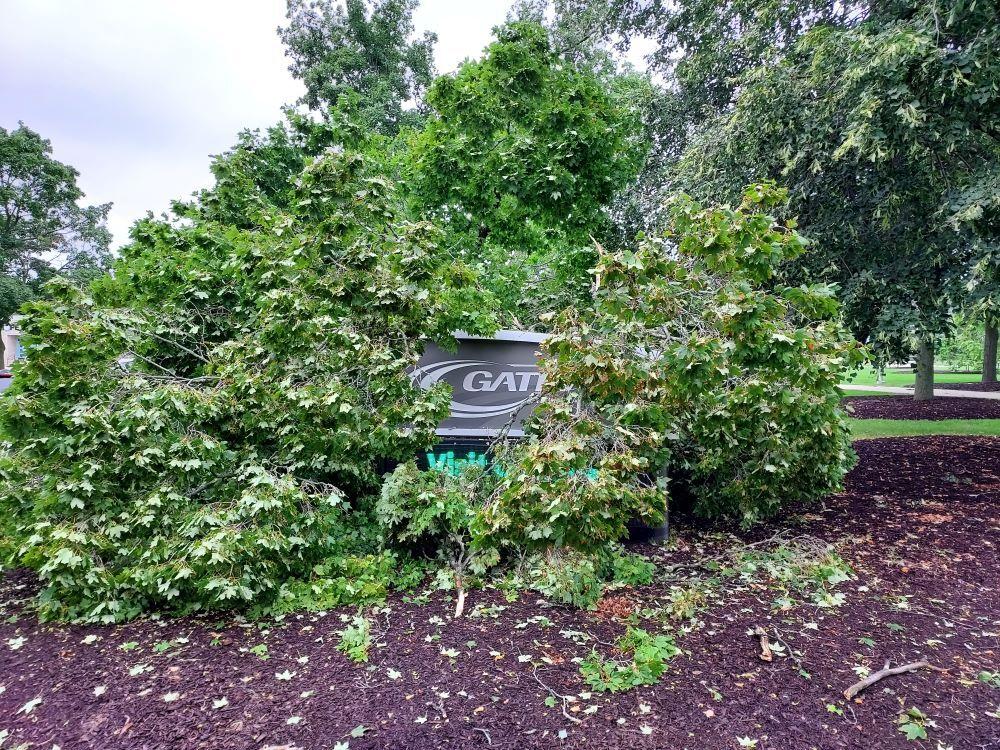 Severe thunderstorm leaves damage in Racine
