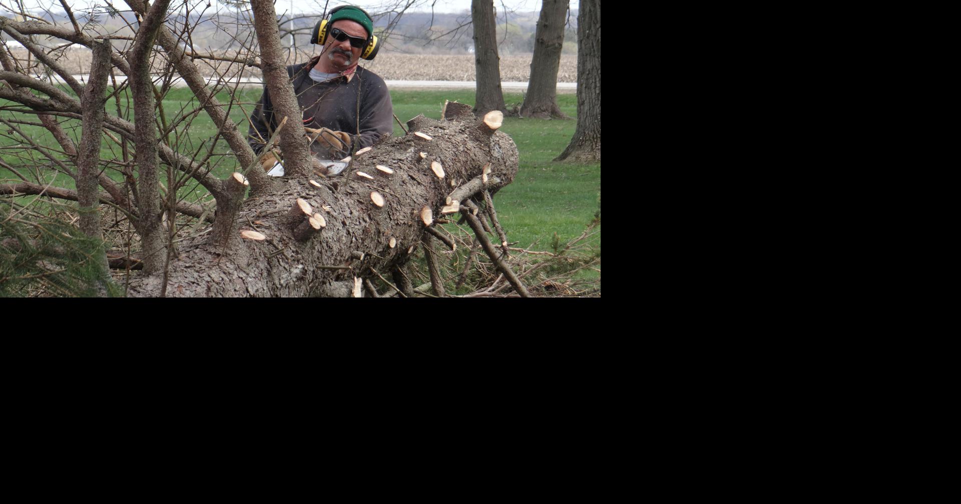 Extensive damage at Caledonia Memorial Park