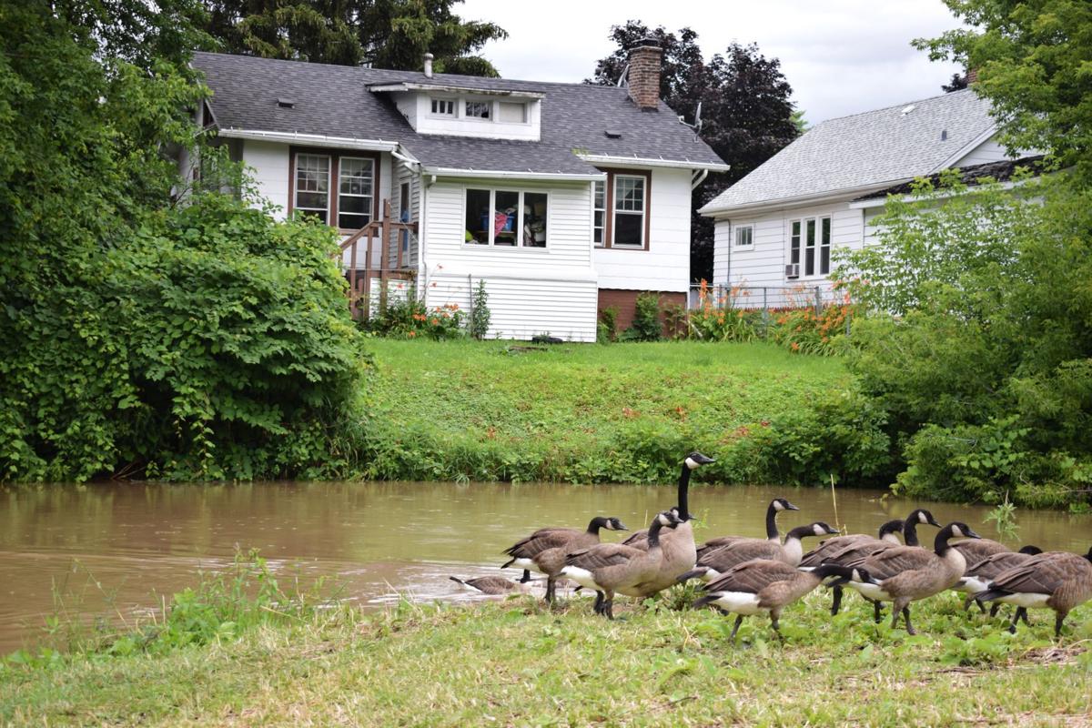 Root River rising