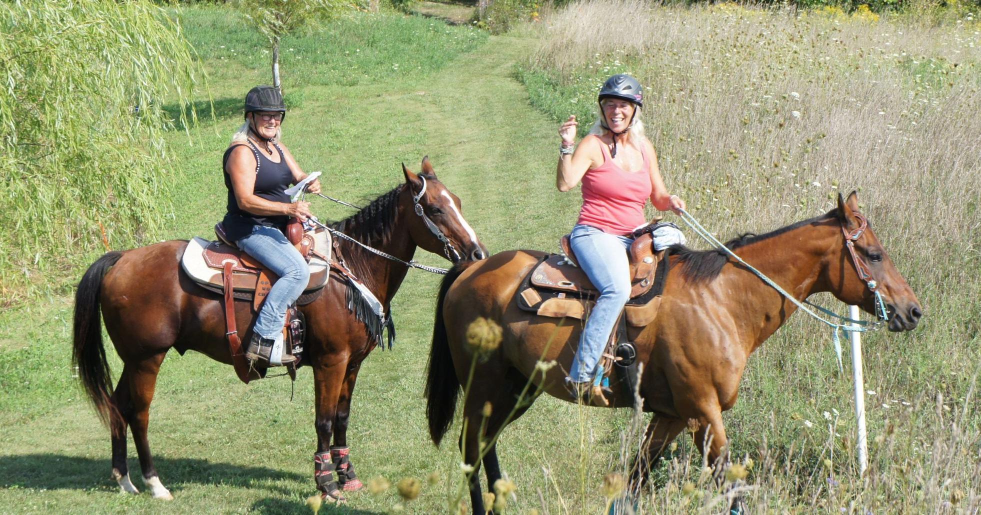 Caledonia horse owners concerned about code enforcement - Vimarsana News
