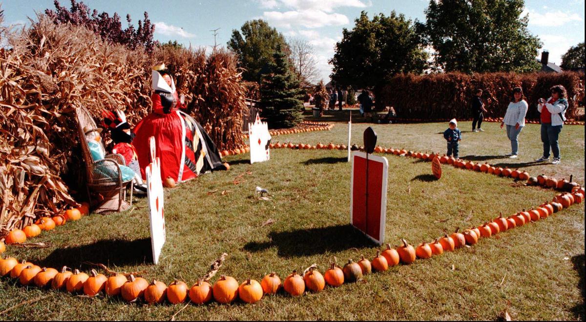Local pumpkin farm taking part in Wisconsin Solar Tour Local News