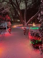 Christmas lights under the snow Tuesday night