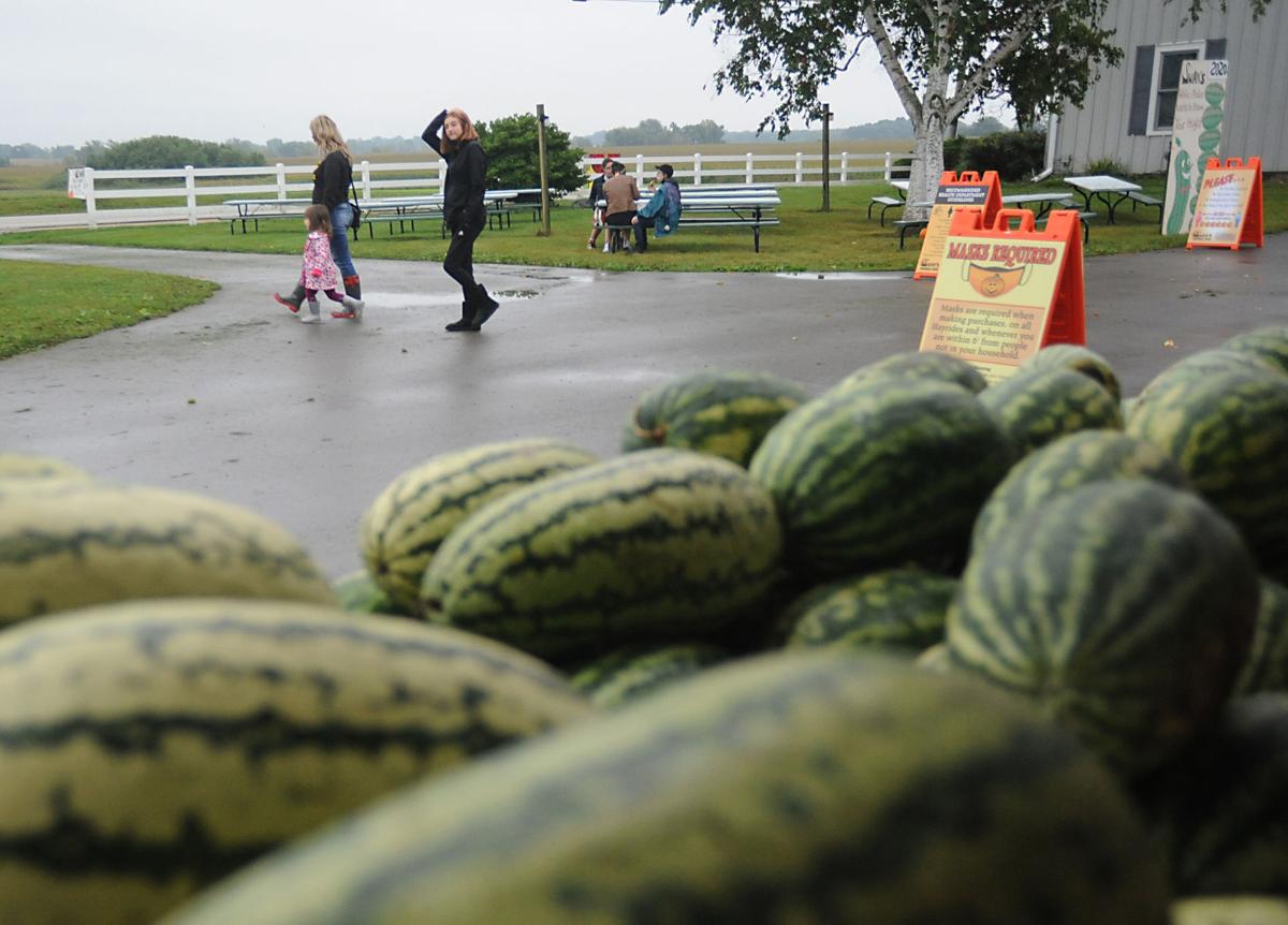 When life gives you melons Swan's Watermelon Festival continues