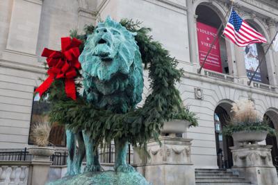 Art Institute of Chicago lion