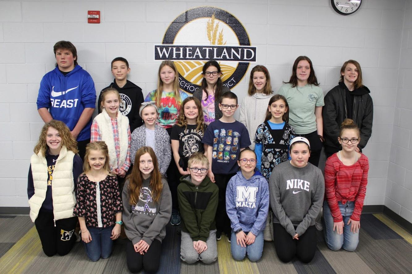 Wheatland students have work published A+