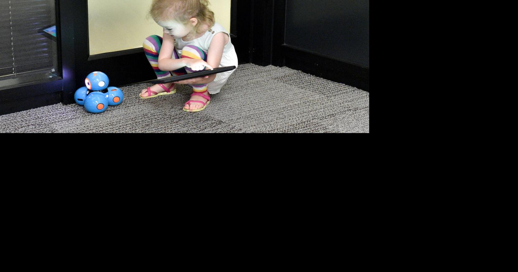 'From collections to connections' The Racine Public Library's new toys