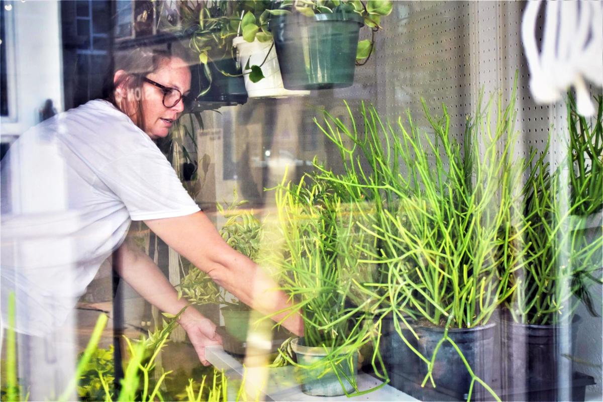 A place to get plants in Uptown