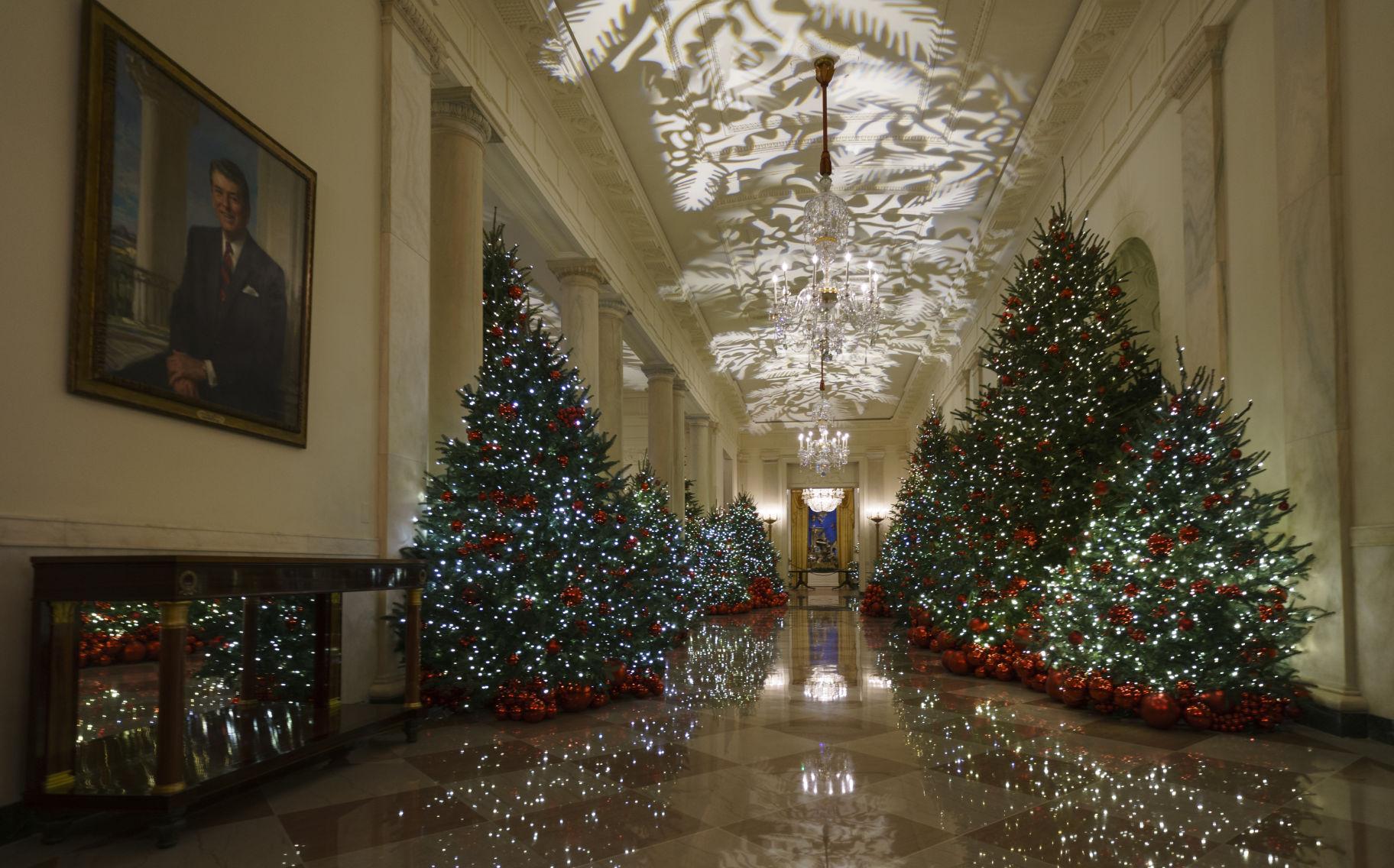 Photos Melania Trump unveils White House Christmas decorations