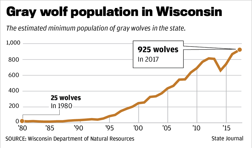 Wolf numbers rise again as payouts for hunting dog deaths hit new