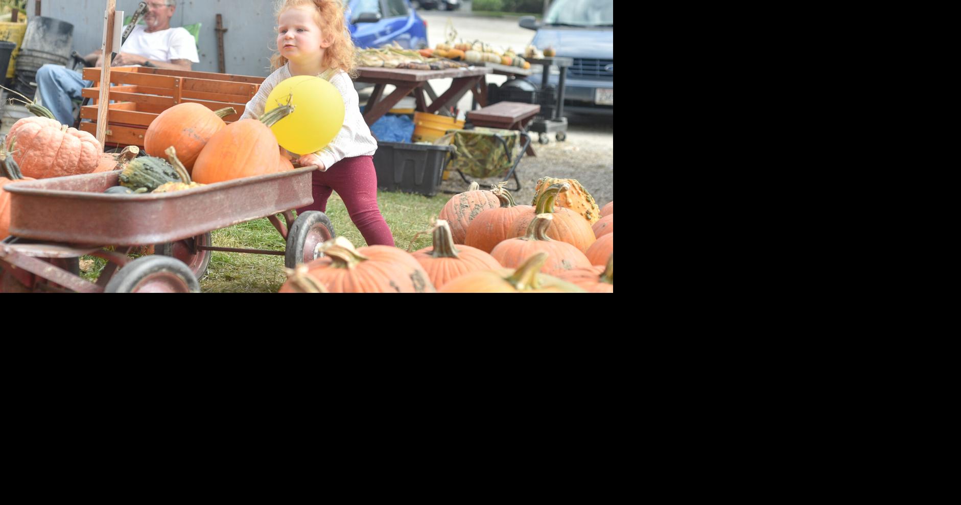 How this familyrun pumpkin stand in Caledonia has kept going for more