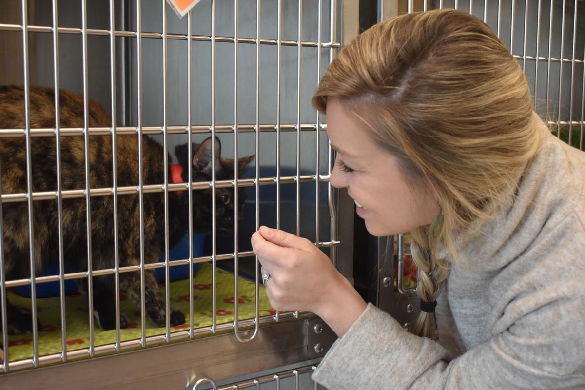 Humane Society Moves Into New Shelter Coronavirus Precludes Adoptions For Now Local News Journaltimes Com