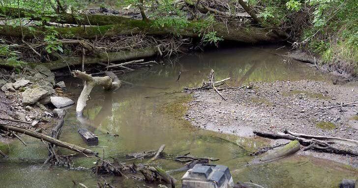 Root-Pike WIN promotes statewide `Stormwater Week' - Vimarsana News