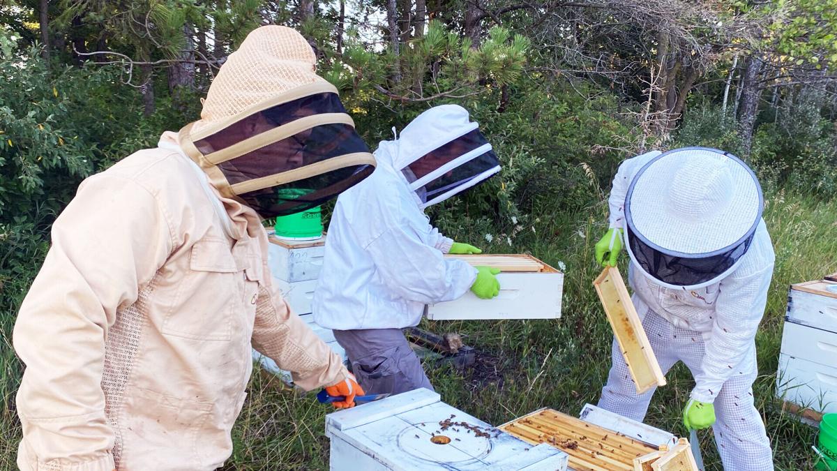 Meet this 7-year-old beekeeper whose passion for her hobby matches